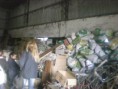 /album/fotogaleria-s-o-s-basura/rucalim-017-jpg/